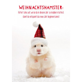 Weihnachtshamster