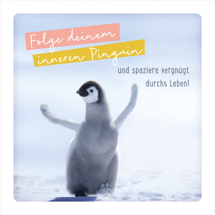 Folge deinem inneren Pinguin Folge deinem inneren Pinguin
