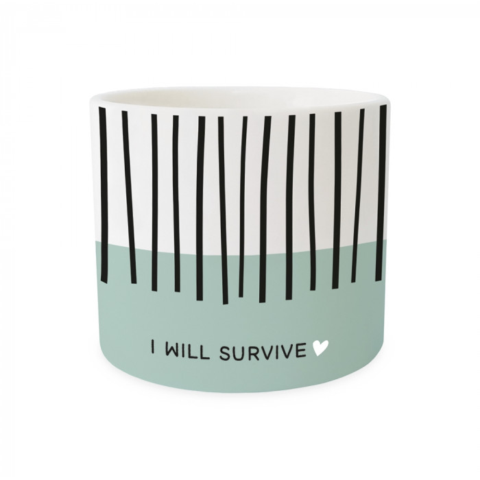 I will survive I will survive