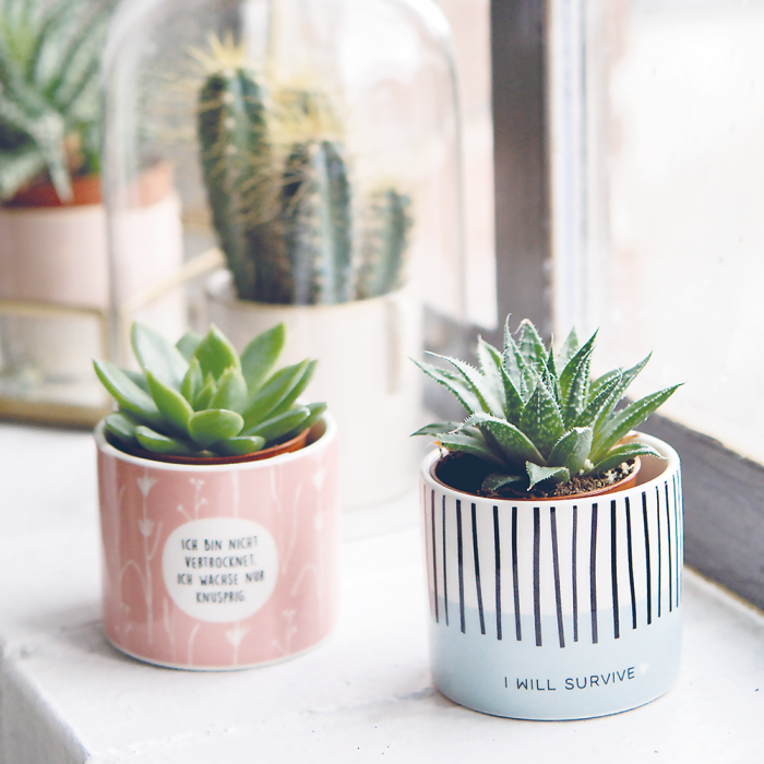 Du Bist Mir So Ans Herz Gewachsen 53+ Du Bist Mir Ans Herz Gewachsen Sprüche, Die redewendung 'ans herz