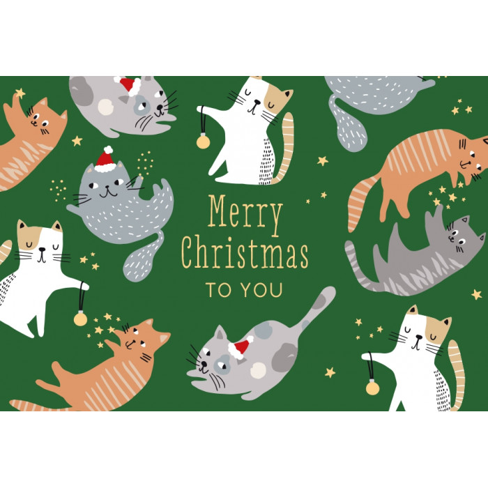 Merry Christmas to you Merry Christmas to you