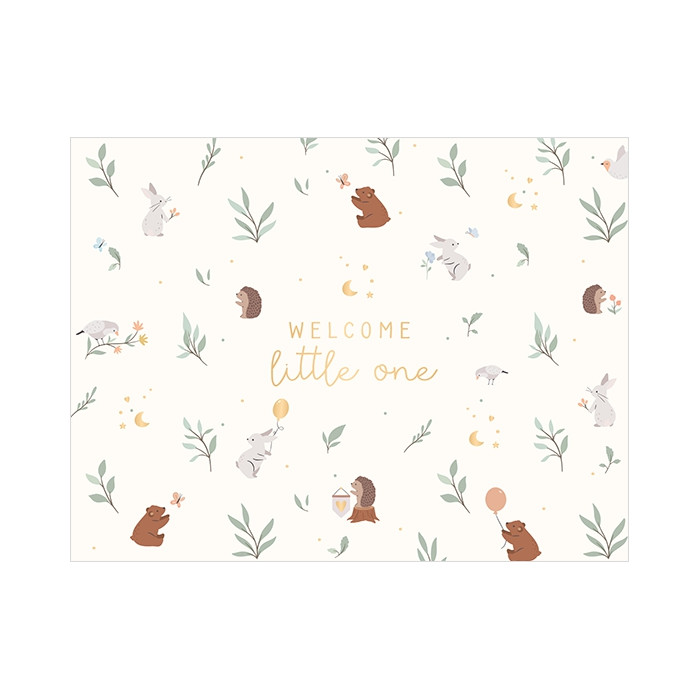 Welcome little one Welcome little one