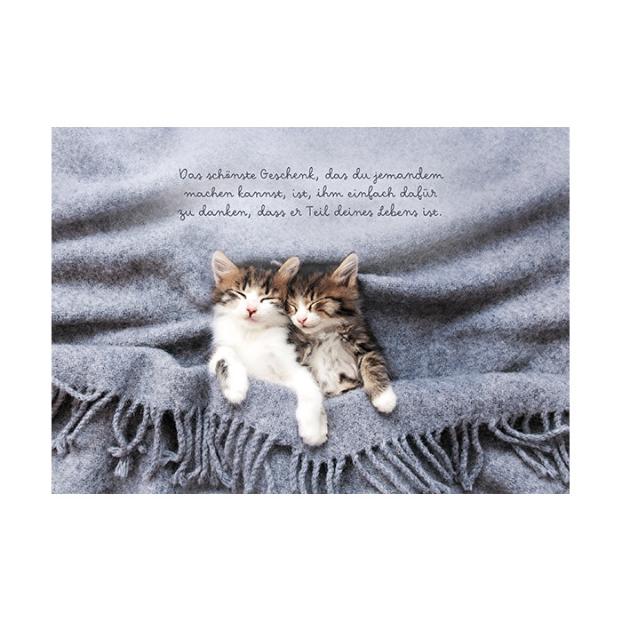 Das schönste Geschenk Das schönste Geschenk