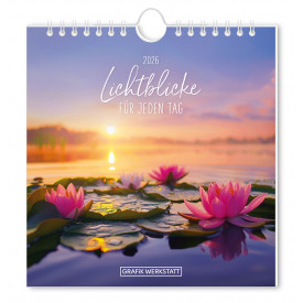 Lichtblicke