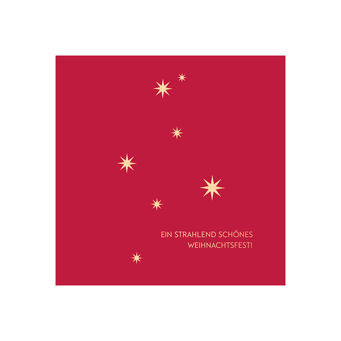 Ein strahlend schönes Weihnachtsfest! Ein strahlend schönes Weihnachtsfest!