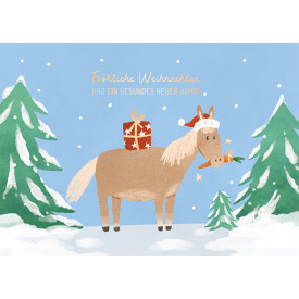 Fröhliche Weihnachten...