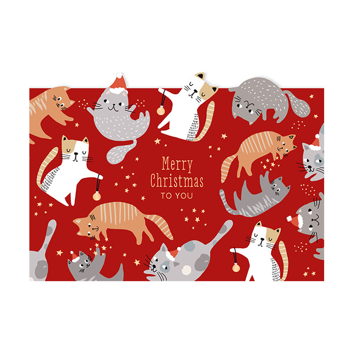 Merry Christmas to you Merry Christmas to you