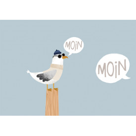 Moin Moin