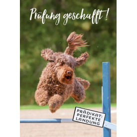 Prüfung geschafft!