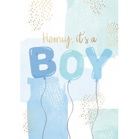 Hooray, it's a boy