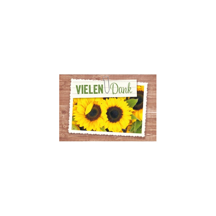 Vielen Dank Vielen Dank