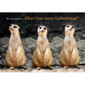 Wir gratulieren