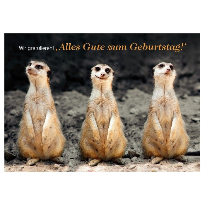 Wir gratulieren Wir gratulieren