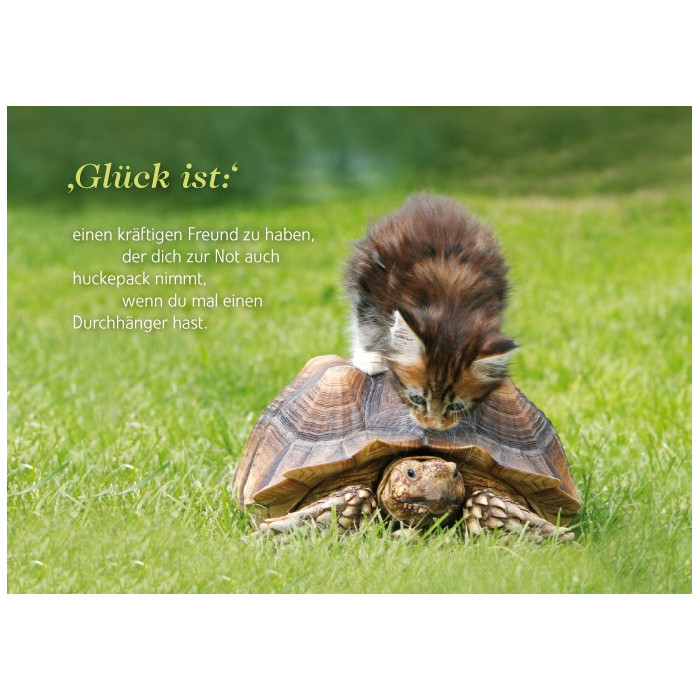 Glück ist: Glück ist: