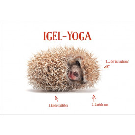 Igel-Yoga