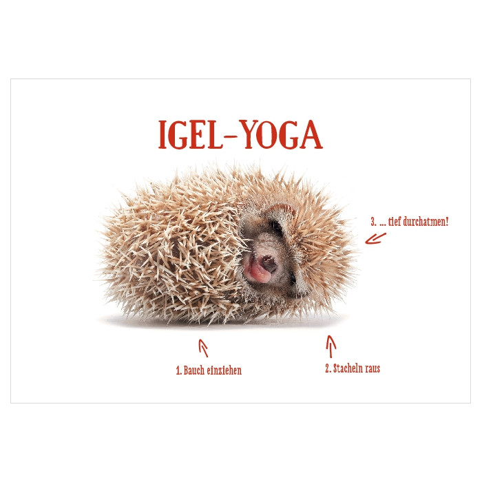 Igel-Yoga Igel-Yoga