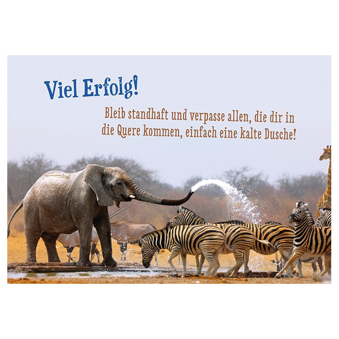 Viel Erfolg! Viel Erfolg!