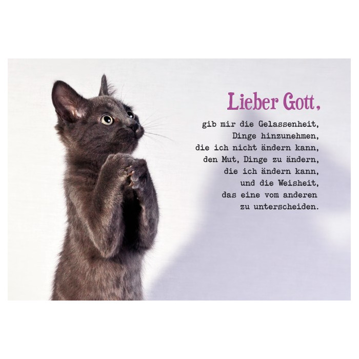 Lieber Gott, Lieber Gott,