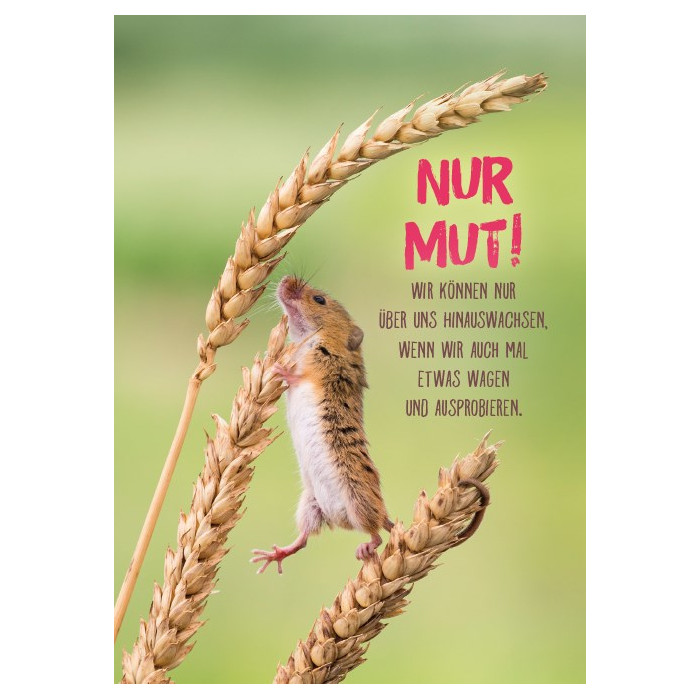 Nur Mut! Nur Mut!