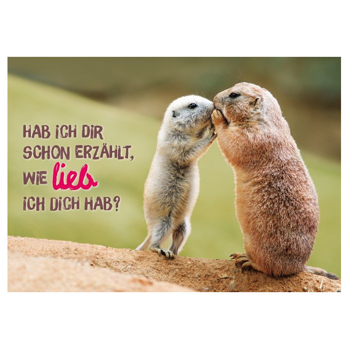 Hab ich Dir schon erzählt… Hab ich Dir schon erzählt…