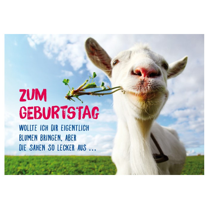 Zum Geburtstag Zum Geburtstag