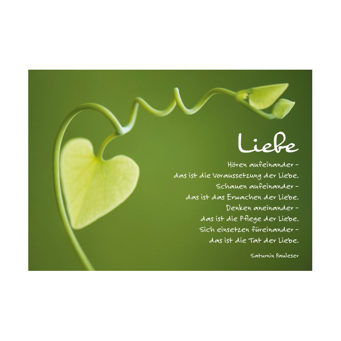Liebe Liebe