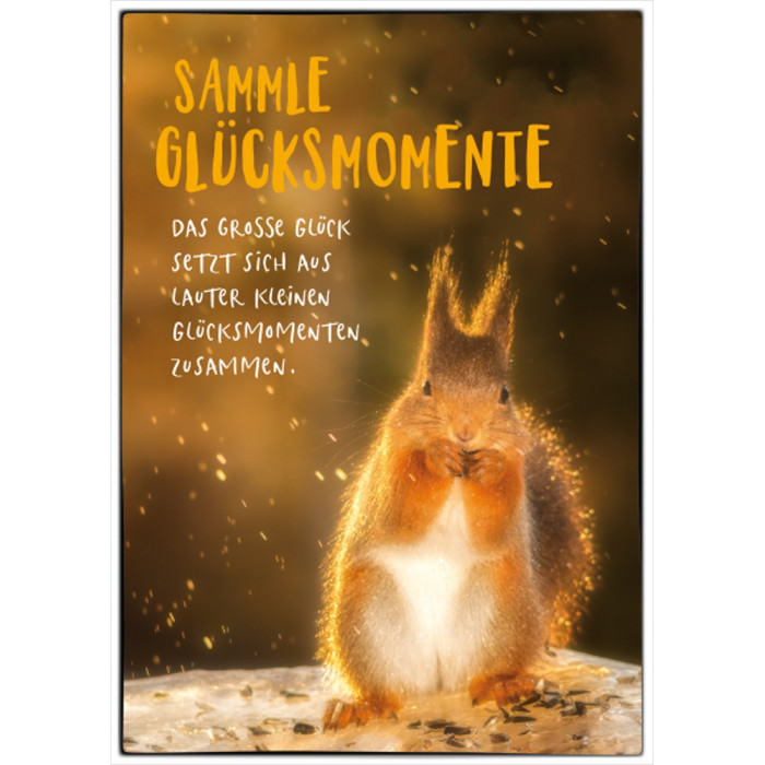 Sammle Glücksmomente Sammle Glücksmomente