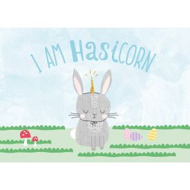 I am Hasicorn