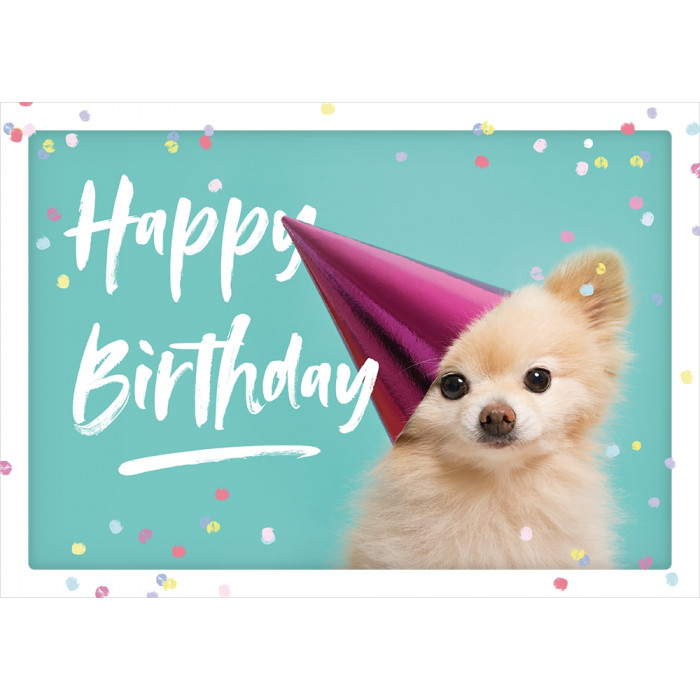 Happy Birthday Happy Birthday
