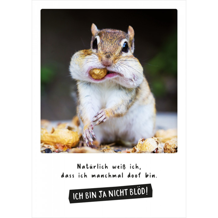 Ich bin ja nicht blöd! Ich bin ja nicht blöd!