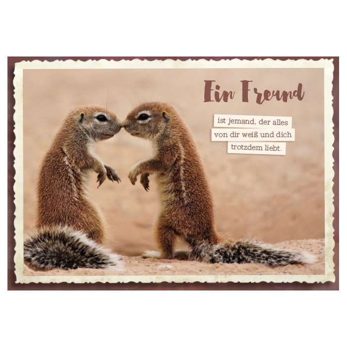 Ein Freund Ein Freund