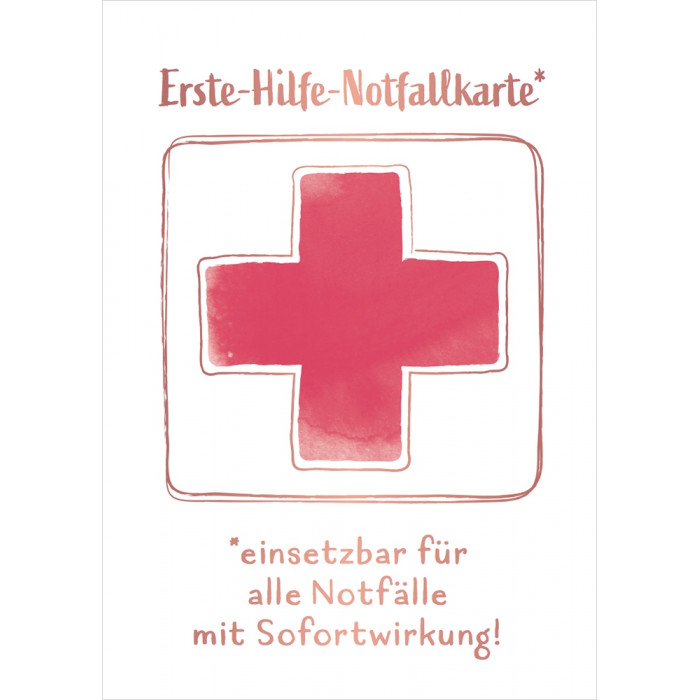 https://www.grafik-werkstatt.ch/8051-large_default/erste-hilfe-notfallkarte.jpg