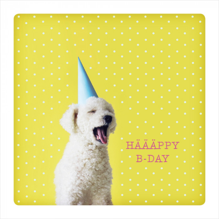 Häääppy B-Day Häääppy B-Day
