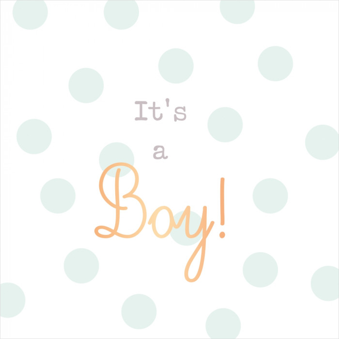 It's a Boy! It's a Boy!