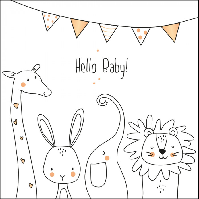 Hello Baby! Hello Baby!