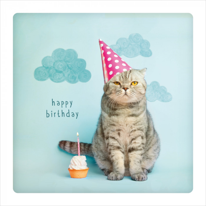 Happy Birthday Happy Birthday